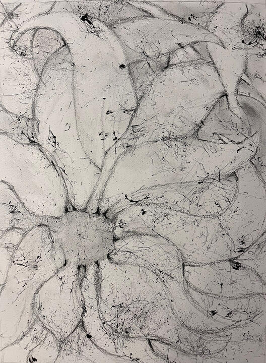 Blossom - acrylic &amp; graphite (SOLD)